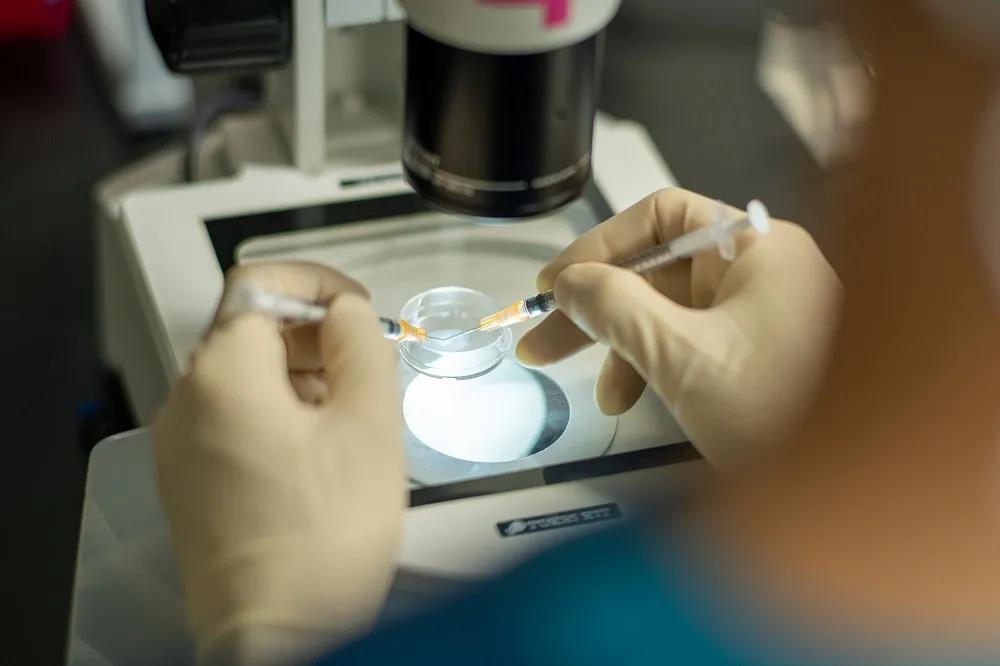 试管婴儿胚胎植入前遗传学诊断技术应用探讨